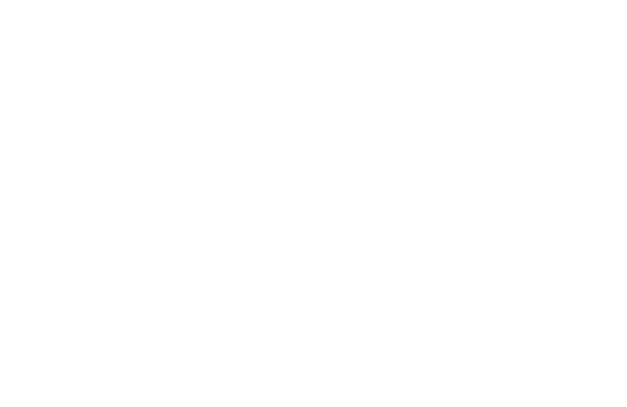 VeloTee